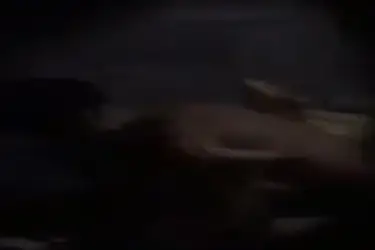 Sejoli Bersetubuh Subuh Suara Plok Plok Kasur